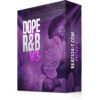 R&B Drum Kit & Sylenth Preset Bank "Dope R&B" | Beats24-7.com