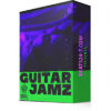 RnB Sample Pack / Royalty Free R&B Samples "Guitar Jamz - RnB Beats"